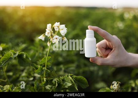 Probleme und Lösung der Gartensaison. Zugeschnittene Fotohand des Bauern hält weiße Flasche mit Modell für Gift, Pestizidflüssigkeit von Pflanzenkrankheiten und Stockfoto