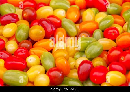 Nahaufnahme von kleinen Tomaten in vielen verschiedenen Farben im Überfluss Stockfoto