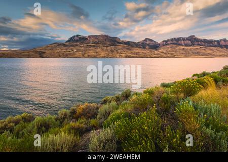 Cody, Wyoming, USA - Blick auf den Shoshone River und das Reservoir, das von den Ausläufern der Rockies am Horizont flankiert wird, und wilde Pflanzen und Blumen i Stockfoto