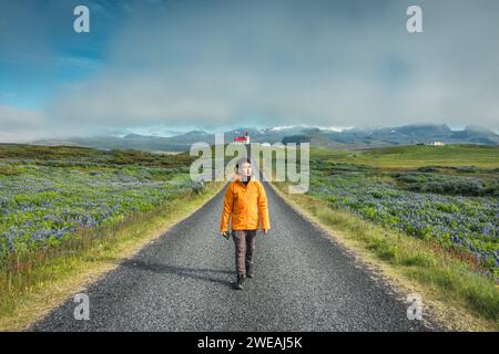 Junger asiatischer Mann, der in der heiligen Ingjaldsholskirkja Kirche auf einem Hügel zwischen Lupinen-Wildblumen spaziert und genießt, die im Sommer auf der Halbinsel Snaefellsnes blühen, I Stockfoto