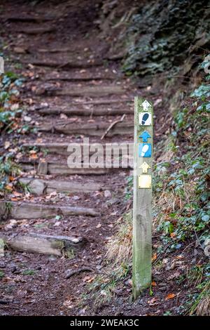 Wegweiser zum Gwydir Forest Park, Betws-Y-Coed, Snowdonia National Park Conwy, Wale Stockfoto