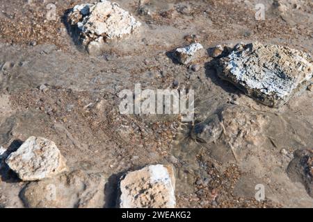 Einer der sehr heißen geothermischen Dämpfe im Geysir Geothermal Area nahe der Südküste Islands. Stockfoto