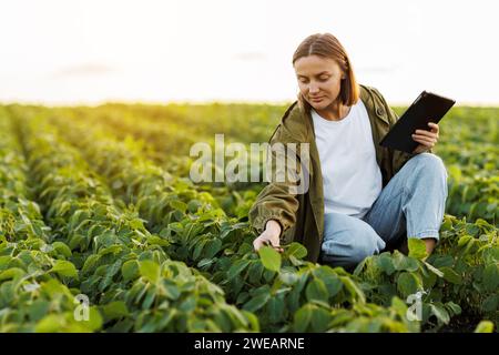 Moderne Agrarwirtschaft. Landwirtin mit digitaler Tablette untersucht und prüft grüne Blätter von Sojabohnenpflanzen auf dem Feld. Agronomist kontrolliert Wachstum und Stockfoto