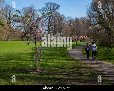 Zwei Personen genießen einen gemütlichen Spaziergang auf einem gewundenen Pfad in einem üppigen Park mit blühenden Bäumen an einem sonnigen Tag Stockfoto