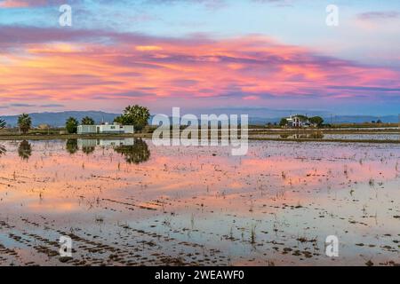 Naturpark des Ebro-Deltas (Spanien) Stockfoto