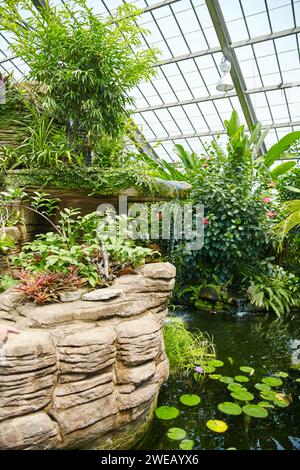 Ruhiger Indoor Garden mit Wasserfall und tropischen Pflanzen Stockfoto