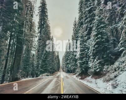 Hauptstraße im Sequoia National Park, Kalifornien, nach einem kurzen Winterschneesturm. Stockfoto