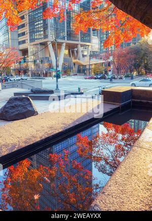 Der herbstliche Ahornbaum reflektiert sich am Nachmittag auf einem kleinen Teich in der Innenstadt von Seattle. Stockfoto