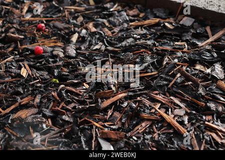 Das Bild ist ein Haufen brauner Blätter auf dem Boden, der sich draußen befindet. Stockfoto