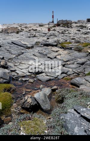 Landschaft mit Basaltfelsen und Leuchtturm am cape am Atlantikufer, aufgenommen im hellen Licht des späten Frühlings am Diaz Point, Namibia, Afrika Stockfoto