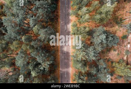 Junge Radfahrer, die auf Asphaltstraße im Wald während der Fahrradreise liegen. Draufsicht aus der Luft. Stockfoto