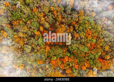 Schöner Herbstwald mit bunten Bäumen und Wolken aus der Vogelperspektive. Stockfoto