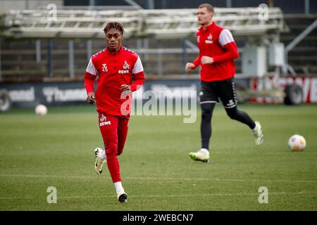 KÖLN, 24. JANUAR 2024: Justin Diehl, Praxis 1. FC Köln in Geissbockheim Stockfoto