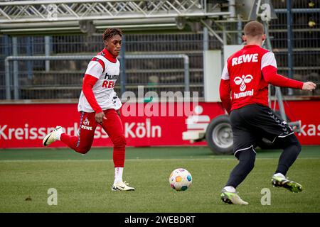 KÖLN, 24. JANUAR 2024: Justin Diehl, Praxis 1. FC Köln in Geissbockheim Stockfoto
