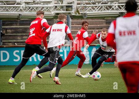 KÖLN, 24. JANUAR 2024: Justin Diehl, Praxis 1. FC Köln in Geissbockheim Stockfoto