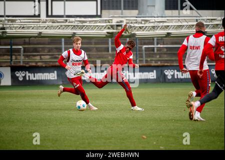 KÖLN, 24. JANUAR 2024: Justin Diehl, Praxis 1. FC Köln in Geissbockheim Stockfoto