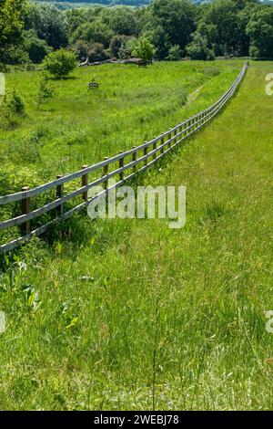 Langer, gerader, hölzerner Pfosten- und Eisenbahnzaun über ein Feld mit grünem Gras mit Waldbäumen dahinter, Derbyshire, England, Großbritannien Stockfoto