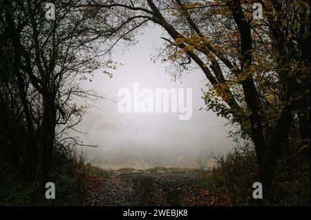 Melancholischer, nebeliger Herbstmorgen, mit Farben in Braun und Grau. Depressive Herbststimmung, Raum bearbeiten Stockfoto