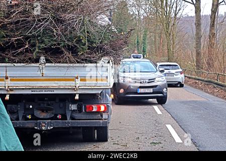 Gärtner und Pflegemaßnahmen eine Gärtnerei blockiert mit einem Betriebsfahrzeug kurzfristig eine Straße um Gartenabfälle nach einer Pflegemaßnahme zu entsorgen. *** Gärtner und Instandhaltungsmaßnahmen Ein Gartencenter sperrt eine Straße mit einem Firmenfahrzeug vorübergehend, um Gartenabfälle nach einer Instandhaltungsmaßnahme zu entsorgen Stockfoto