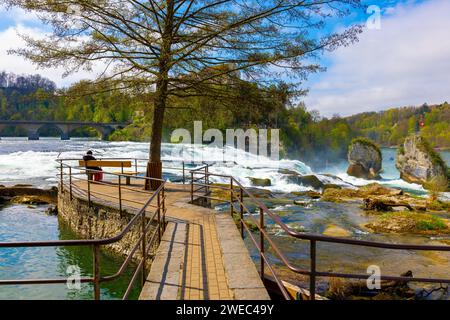 Rheinfall und Schweizer Flagge mit Schloss Laufen bei Neuhausen in Schaffhausen, Schweiz. Stockfoto