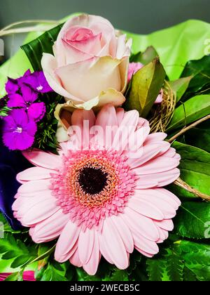 Blumenstrauß mit bärtiger Gerbera, Rose und bärtigem Rosa Stockfoto