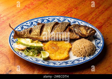 Serviert wird ein Gericht mit gebratenem Sardellenfisch - Patacon, Kokosreis und Gemüsesalat Stockfoto