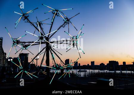 London, Großbritannien. Januar 2024. Neuron von Juan Fuentes, eine von dreizehn Winterlichtern an der Canary Wharf, ist bei Sonnenuntergang zu sehen. Der Winter Stockfoto