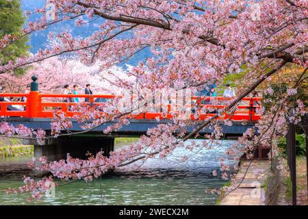 Kyoto, Japan - 2. April 2023: Bootstour auf dem Okazaki Jikkokubune, 3 km vom Nanzenji-Bootsanleger zum Ebisu-Staudamm und hin- und Rückfahrt Stockfoto