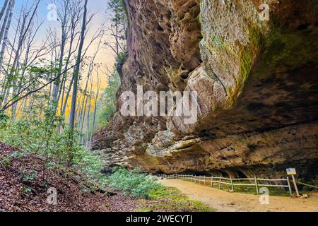 Hazard Cave Trail Felsformation am Big South Fork National River and Recreation Area im Herbst Stockfoto