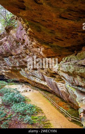 Hazard Cave Trail Felsformation am Big South Fork National River and Recreation Area im Herbst Stockfoto