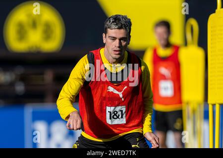 Marbella, Spanien. Januar 2024. Fußball: 1. Bundesliga, Saison 2023/2024, Trainingslager von Borussia Dortmund am 08.01.2024 in Marbella (Spanien). Gio Reyna Credit: dpa/Alamy Live News Stockfoto