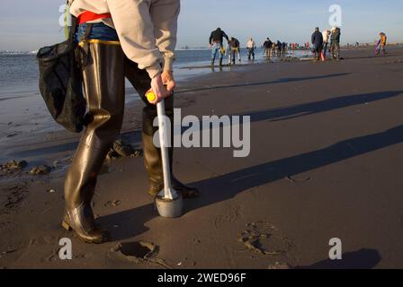 Rasiermesser, Long Beach, Washington Stockfoto