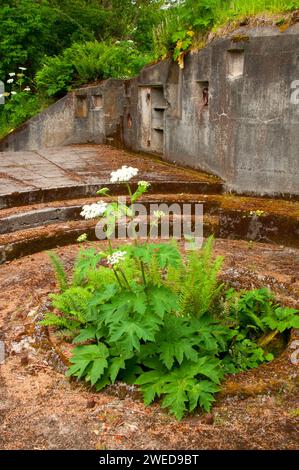 Battery Harvey Allen at Cape Enttäuschung, Cape Enttäuschung State Park, Lewis and Clark National Historical Park, Washington Stockfoto