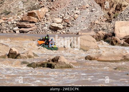 Rafting auf dem Colorado River im Cataract Canyon, Utah. Stockfoto