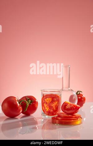Ein Becher, ein flacher florentiner Kolben und eine Petrischale auf dem Spiegeltisch mit Tomaten. Tomaten (Solanum lycopersicum) können Kollagen p stimulieren Stockfoto