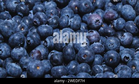 Nahaufnahme von frischen Heidelbeeren, natürlicher Hintergrund Stockfoto