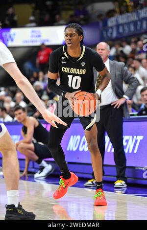 Seattle, WA, USA. Januar 2024. Colorado Buffaloes Stürmer Cody Williams (10) während des NCAA Basketballspiels zwischen den Colorado Buffaloes und Washington Huskies im HEC Ed Pavilion in Seattle, WA. Colorado besiegte Washington mit 98:81. Steve Faber/CSM/Alamy Live News Stockfoto