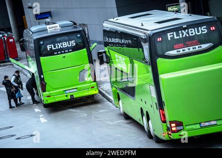 Flixbusse vor der Abfahrt am Busbahnhof ZOB München, Januar 2024 Deutschland, München, Januar 2024, zwei Flixbusse vor der Abfahrt am Busbahnhof ZOB München, Zentraler Omnibusbahnhof, Verkehr, Winter, Bayern, bayerisch, *** Flixbusse vor Abfahrt am Busbahnhof ZOB München, Januar 2024 Deutschland, München, Januar 2024, zwei Flixbusse vor Abfahrt am Busbahnhof ZOB München, zentraler Busbahnhof, Verkehr, Winter, Bayern, Bayerisch, Stockfoto