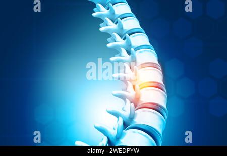 Menschliche Wirbelsäule, Wirbelanatomie auf wissenschaftlichem Hintergrund. 3D-Abbildung Stockfoto