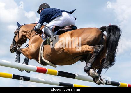 Pferdesport Foto-Themen: Springen, Show Jumping, Reiten. Stockfoto