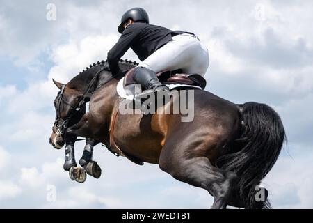 Pferdesport Foto-Themen: Springen, Show Jumping, Reiten. Stockfoto