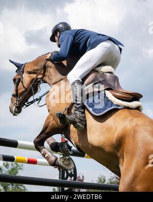 Pferdesport Foto-Themen: Springen, Show Jumping, Reiten. Stockfoto