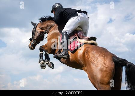 Pferdesport Foto-Themen: Springen, Show Jumping, Reiten. Stockfoto