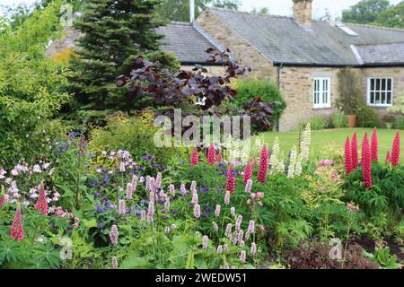 Landhaus Garten mit einem Bett mit bunten Blumen Stockfoto