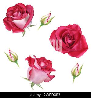Nahtloses Aquarellmuster mit Blütenblüten und Knospen. Botanische Aquarellillustration. Für Textilgewebe Stockfoto