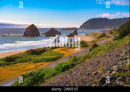 Küstenlandschaft des Meyers Creek Beach in Oregon mit Meeresstapeln Stockfoto