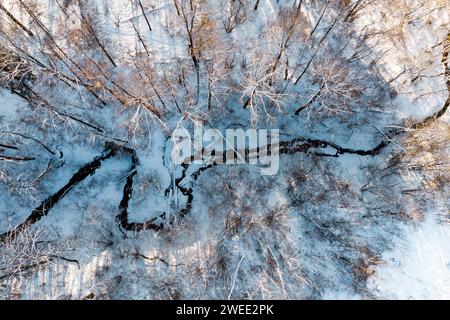 Aus der Vogelperspektive eines Baches, der sich im Winter in einer Schlucht inmitten eines verschneiten Waldes schlängelt Stockfoto