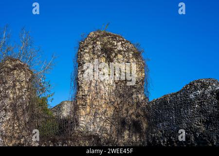 Reading Abbey Ruins, Reading, Bekshire, England, Großbritannien, GB. Stockfoto