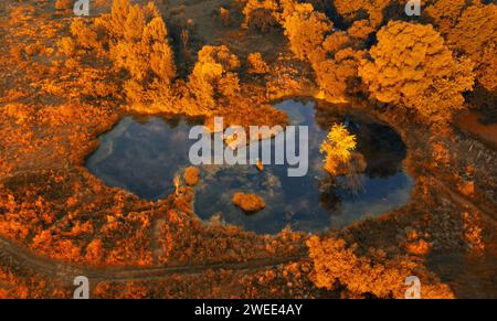 Aus der Vogelperspektive auf einen kleinen See im Herbstwald am frühen Morgen bei Sonnenaufgang. Wunderschöne Herbstlandschaft, aufgenommen von einer Drohne. Stockfoto