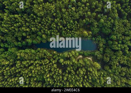 Blick von oben auf den Waldsee umgeben von grünen Bäumen. Wunderschöne Landschaft aus der Vogelperspektive. Stockfoto